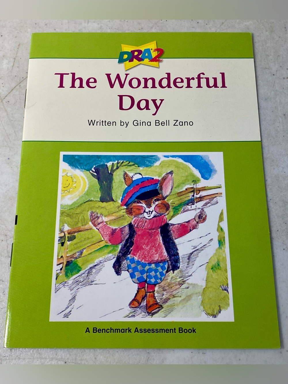 The Wonderful Day (A Benchmark Assessment Book Level 24) - Paperback - VERY GOOD